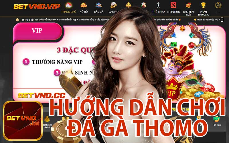 Hướng Dẫn Chơi Đá Gà Thomo